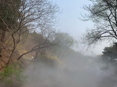 -北京西山国家森林公园