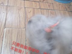 -志龙皇冠吃货椰子铺