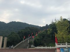 -铁山坪森林公园