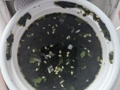 紫菜汤-吉野家(凯旋购物广场店)