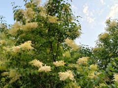 -长春公园(普阳街道)