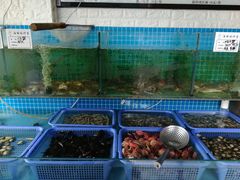 -二红烧烤排骨串(麦岛店)