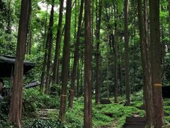 -凤栖山