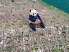 -沈阳森林动物园