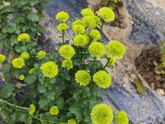 -贵州省植物园