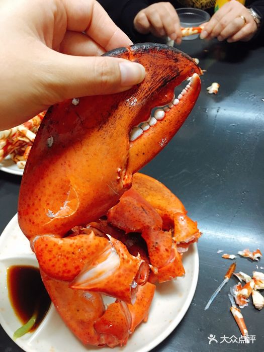 龙虾脚图片 - 第1046张