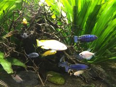 -梦幻海洋王国(吾悦广场张家港店)