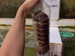 -海盗餐厅