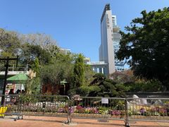 -九龙公园