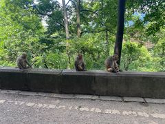 -黔灵山公园