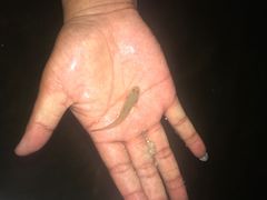 -启东恒大海上威尼斯酒店