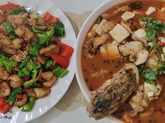 -煲来饱去冷水鱼