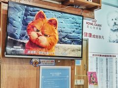 -可蒙动物医院·猫科·骨科中心(首义路店)