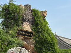-大槐树寻根祭祖园