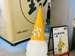 -野人先生现做冰淇淋(北京环宇荟店)