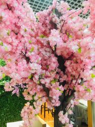 -久匠·纹眉纹绣半永久