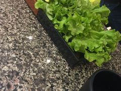 -韩罗苑(万象城店)