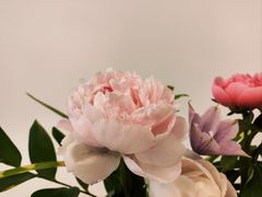 -今日陶艺(富力广场店)