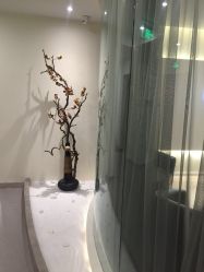 -康颜SPA自然疗愈皮肤管理中心