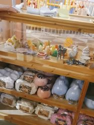 -宝燕水乐园(相城店)