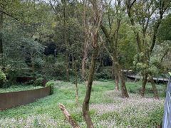 -西湖风景区-江洋畈生态公园