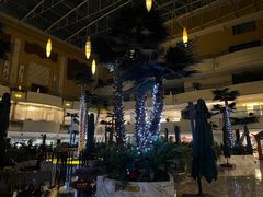 -铂丽斯国际大酒店-凯悦自助餐厅
