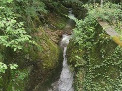 -花溪风景区
