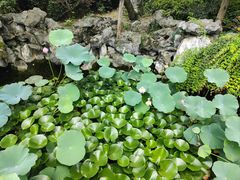 -东山雕花楼