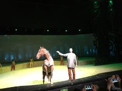 -cavalia·舞马