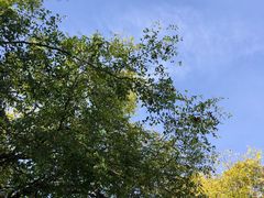 -北京鲁迅博物馆(北京新文化运动纪念馆鲁博馆区)