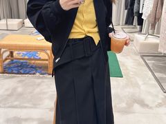 -岭南站NOVA