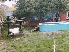 -翊宠yipet猫狗购宠庄园犬舍•猫舍