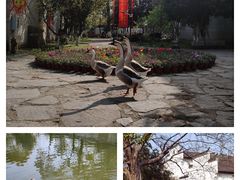 -张公山寨景区