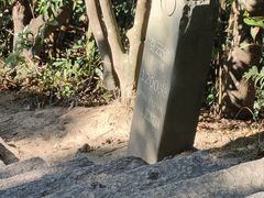 -梧桐山风景名胜区