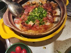 -润园四季椰子鸡火锅(海上世界店)