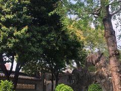 -碧江金楼