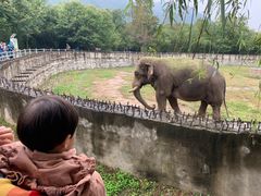 -西安秦岭野生动物园
