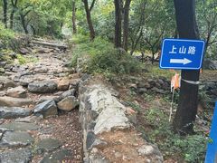 -阳台山自然风景区