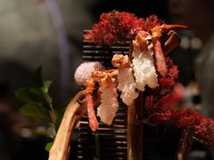 -蟹犇前•帝王蟹雪蟹(陆家嘴店)
