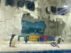 -华夏文旅海洋公园