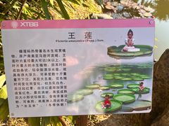 -中国科学院西双版纳热带植物园