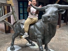 -上海佘山国家森林公园西佘山园