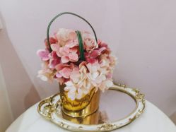 -蕾蕾美颜美容美体