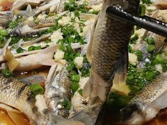 -千岛湖小鱼儿·淳安匠心农家菜