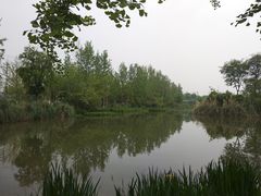 -白鹭湾湿地公园