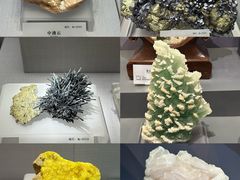 -湖南省地质博物馆