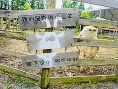 -前小桔亲子创意农场·草莓采摘·露营烧烤
