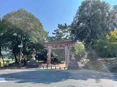 -奈良公园
