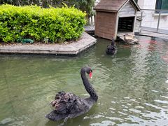 -行者书屋大堂吧 ·下午茶(南京圣和府邸酒店)