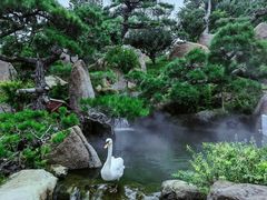 -罗红摄影艺术馆